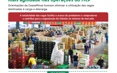 Edição Julho/26