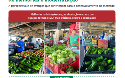 Edição Agosto/26