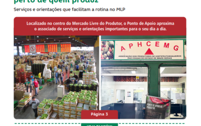 Edição Setembro/26