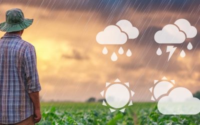 Clima exige atenção redobrada na primavera